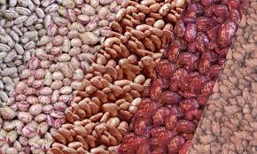 تصویر 3 از شرایط ویژه کنسرو لوبیا چیتی با قارچ 420 گرمی خوش طعم + خرید عمده
